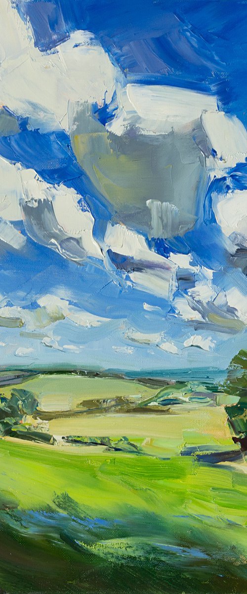 Fields of Air by Daria Zavadenko