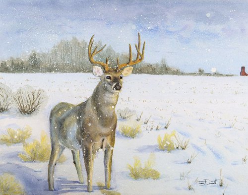 Unseen Visitor - whitetail deer by Jason Edward Doucette