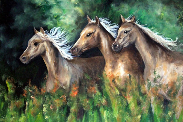 Arabian Horses Oil Painting By Kate Lesinska Artfinder