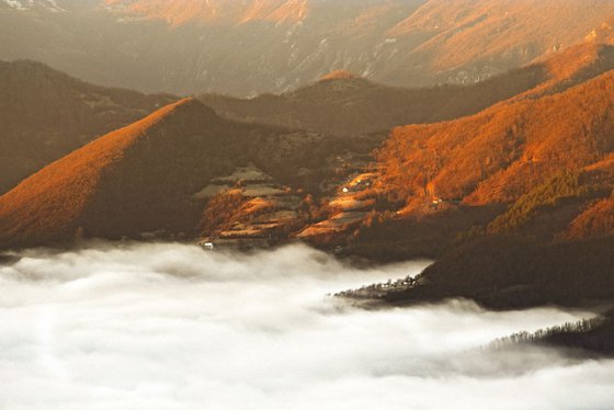 Fog in morning