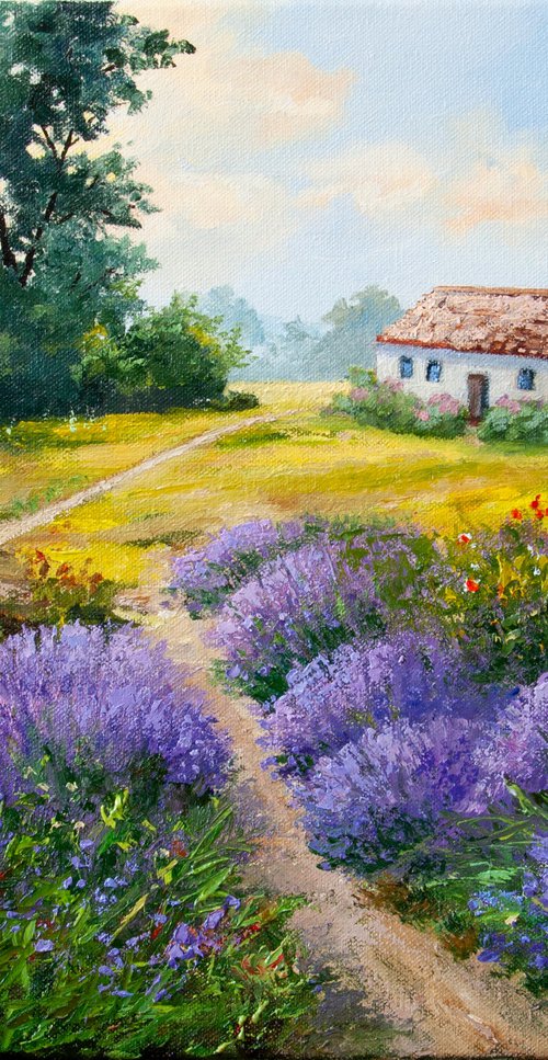 Lavender fields by Tetiana Vysochynska