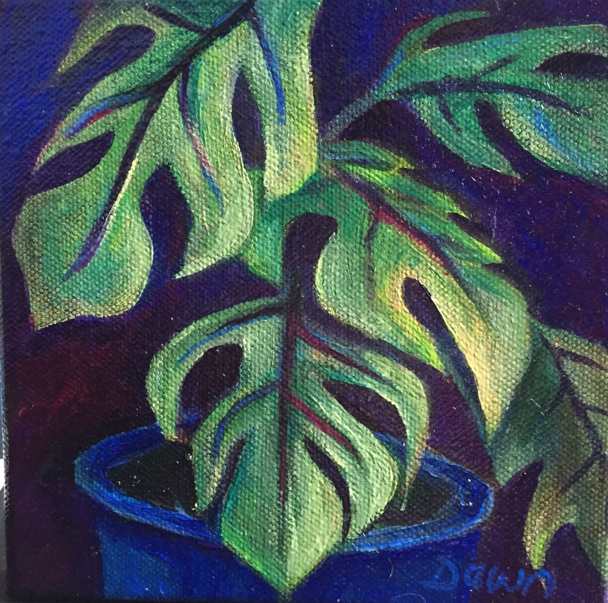 Cheese Plant by Dawn Rodger by Dawn Rodger