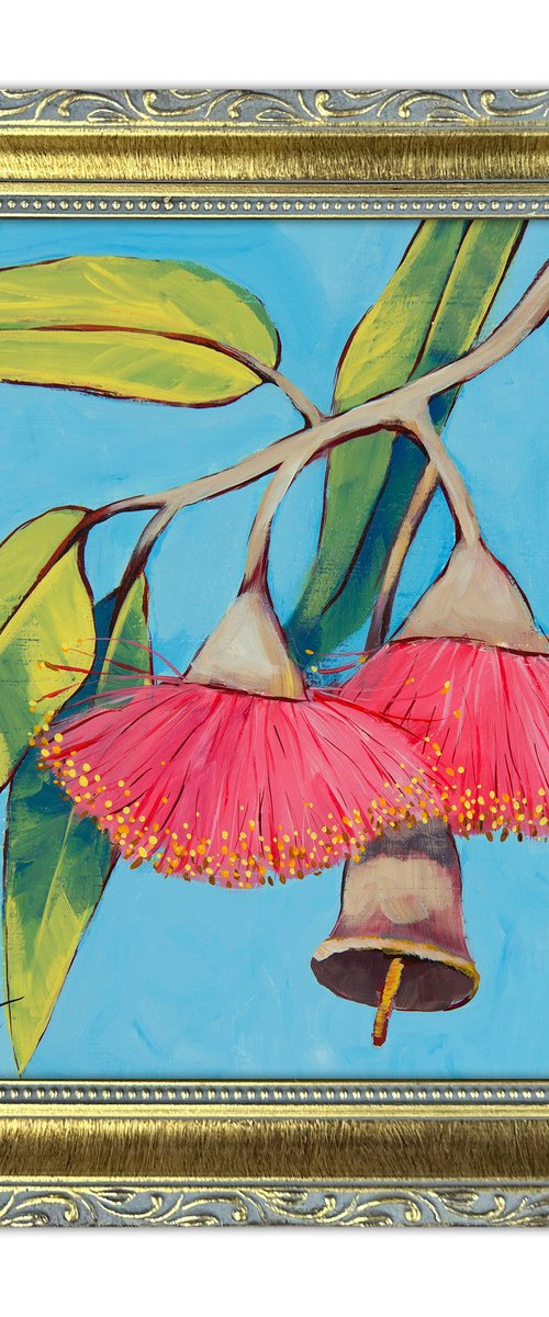 Pink flowering Eucalyptus by Irina Redine