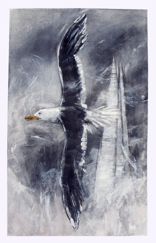 Black Backed Gull, The Shard by John Sharp