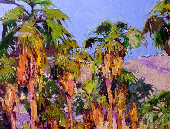 Palm Trees of the Desert, Palm Springs