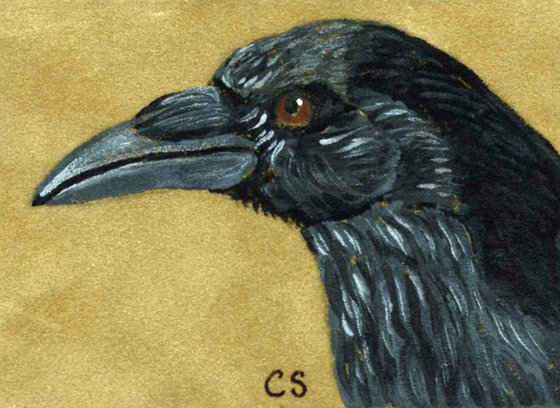 ACEO ATC Original Suede Painting Raven Crow Bird Wildlife Art-Carla Smale