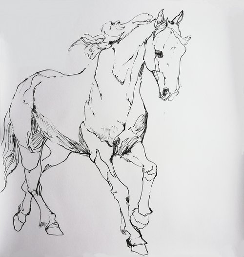 White Horse by Jelena Djokic