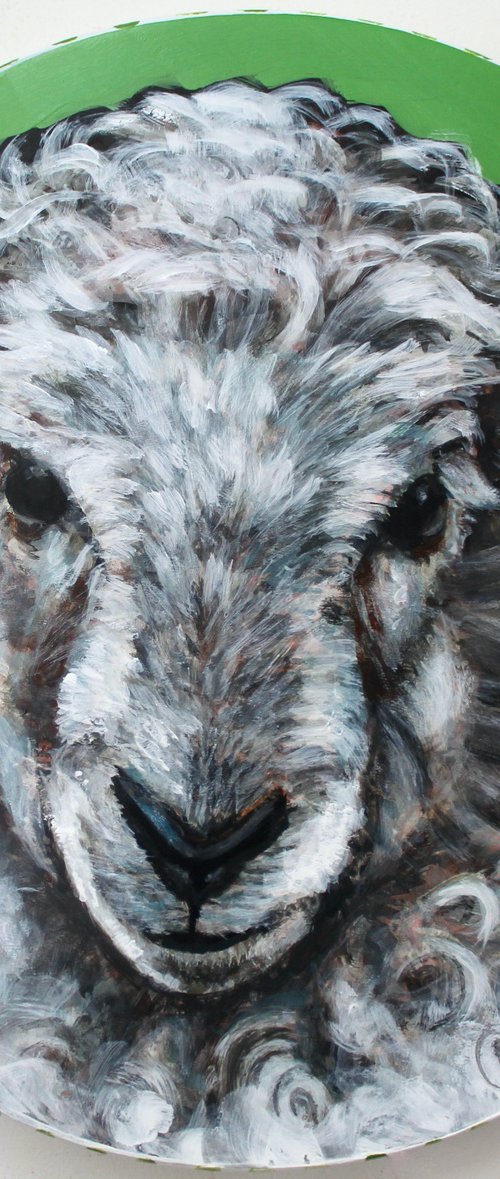 Sheep portrait called Love Ewe by Victoria Coleman