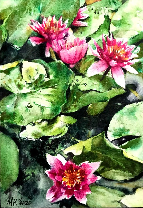 Water lilies