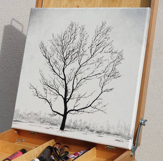 Snow landscape