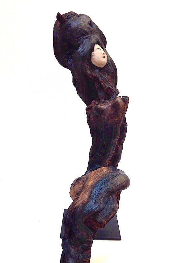 NAOMI, Ostreïdes séries