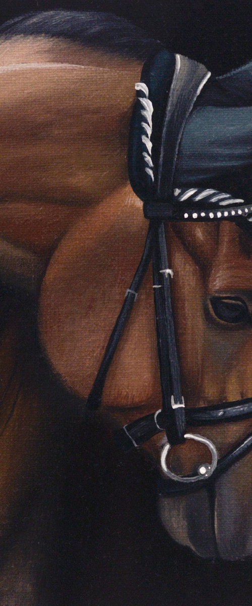 Horse Portrait 102 by Anastasia Parfilo