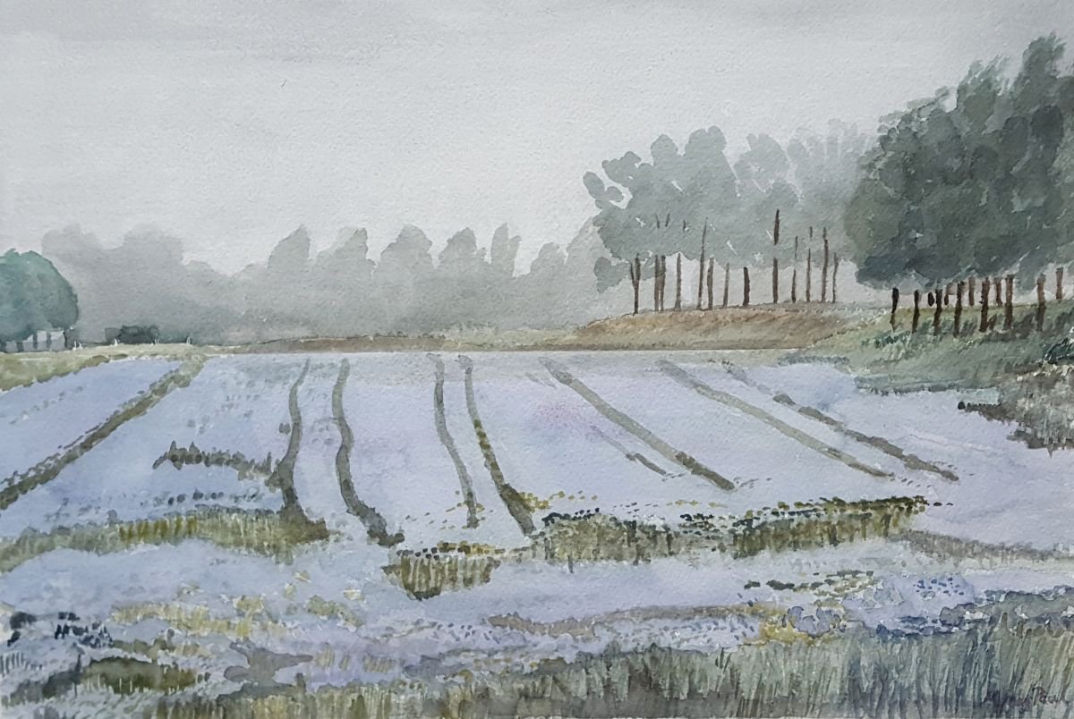 Impressionistic Landscape Watercolour By Morag Paul, 28 X 20", Morning In The Flax Fields, Original Artwork