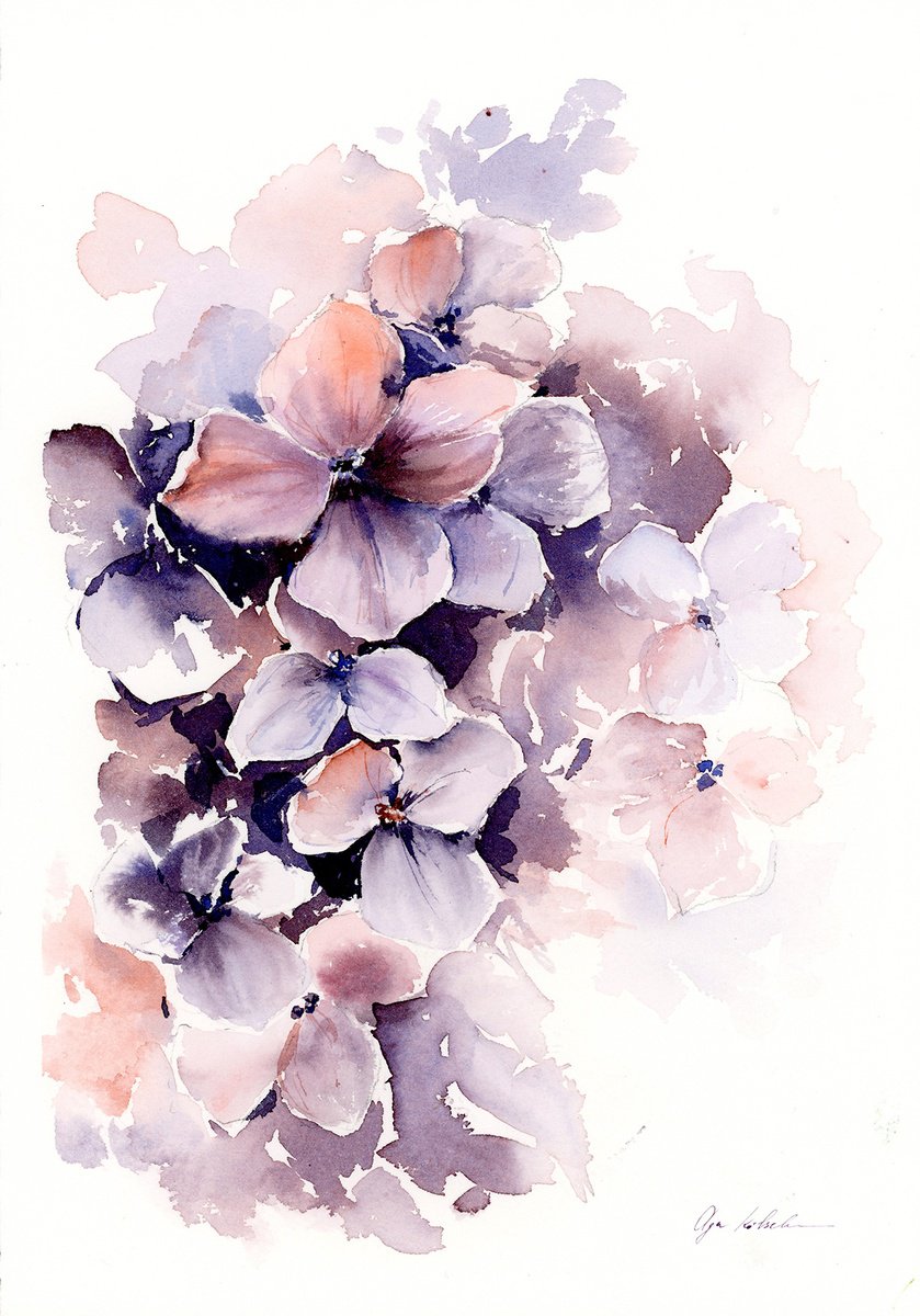 Impressionistic Botanical Watercolour By Olga Koelsch, 7 X 10", Watercolor Purple Hydrangea, Original Artwork