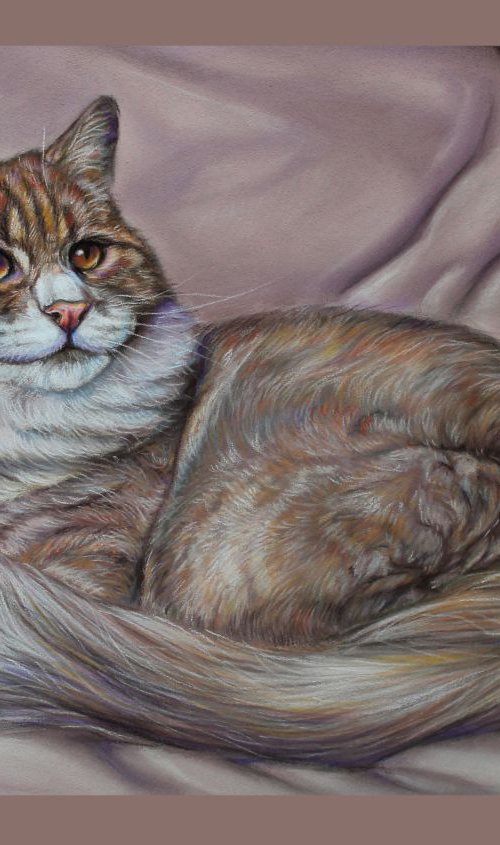 Pastel cat portrait by Tatjana Bril