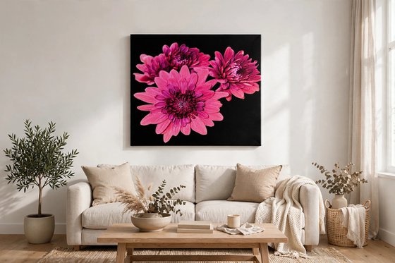 Solo Bloom - Magenta Chrysanthemum