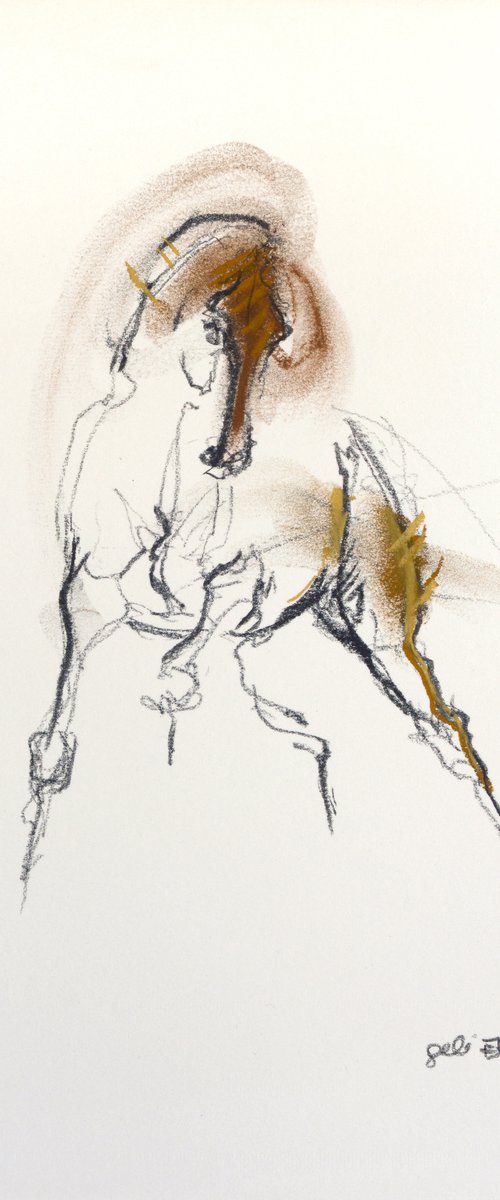 Etude 464 by Benedicte Gele