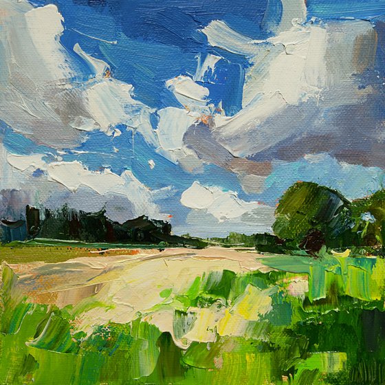 Fields Beneath the Wind