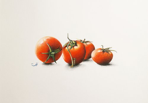 Tomatoes by sedigheh zoghi