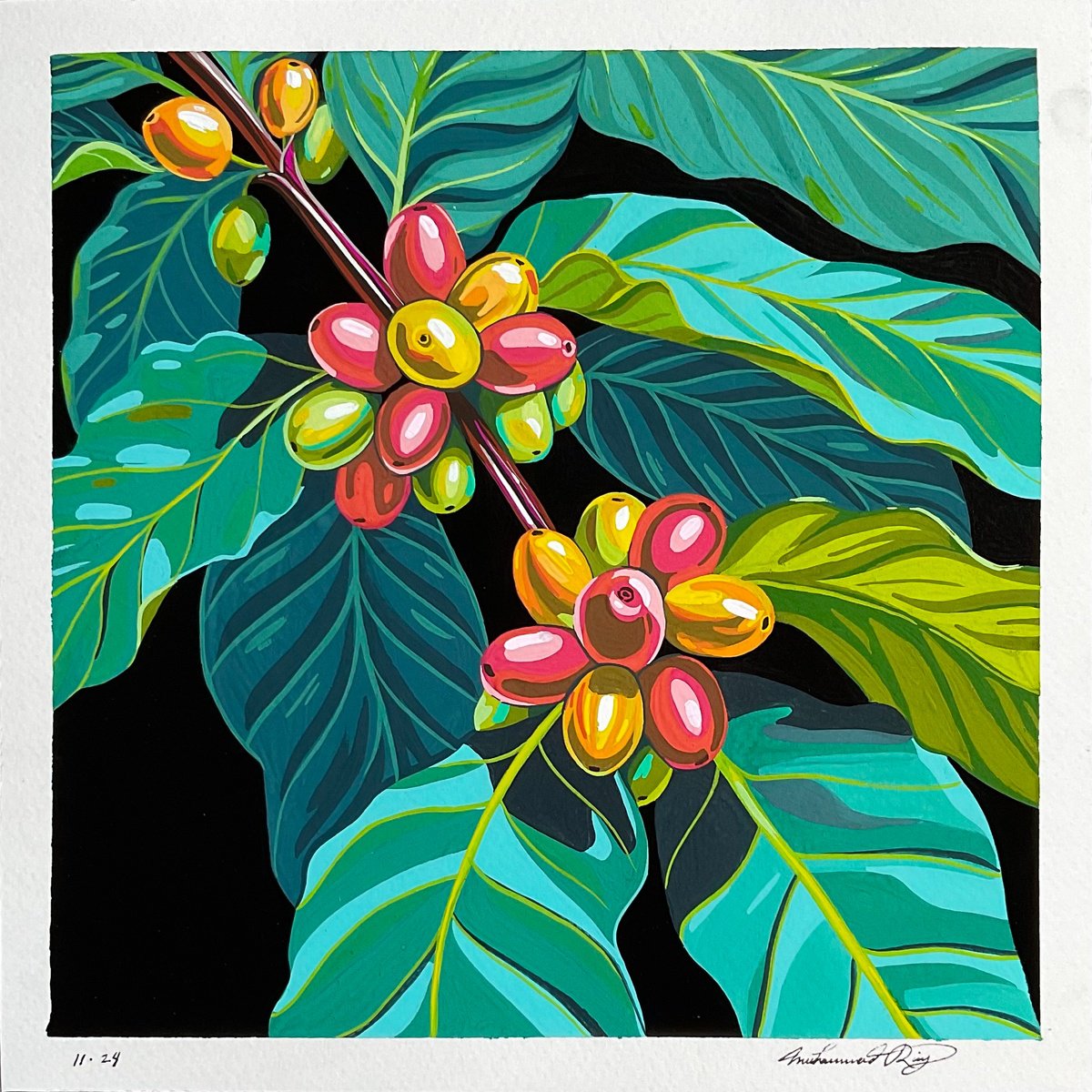 Illustrative Botanical Painting By Amani Muhammad, 9 X 9, Coffee Beans, Original Artwork
