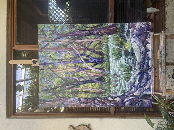 Gum Trees By The Creek