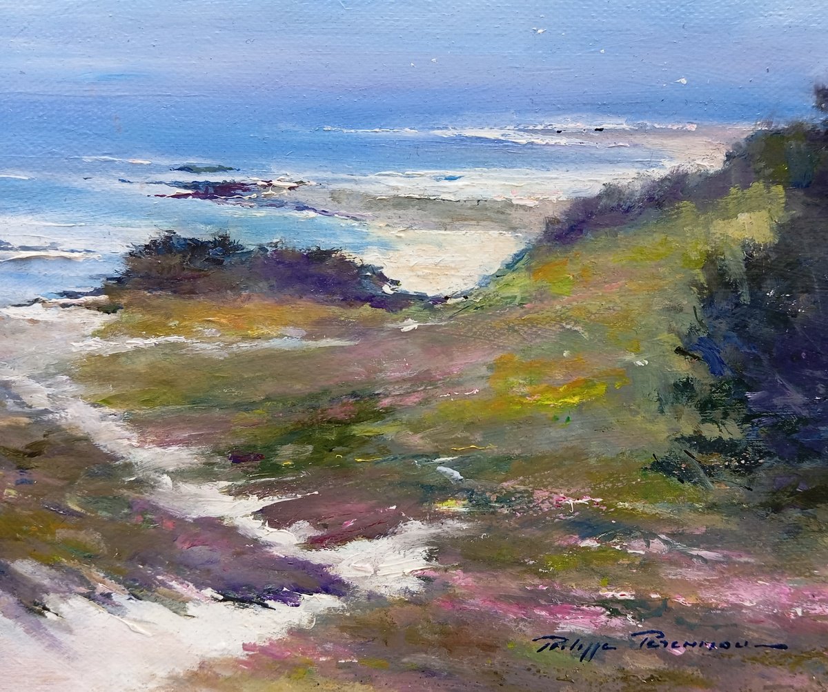Sentier ci?tier , N 2516 by Philippe PERENNOU