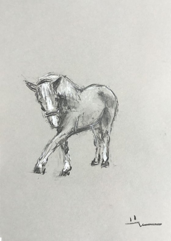 Horse Study 2