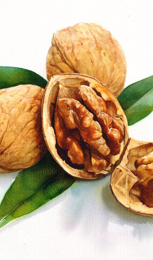 Walnut by REME Jr.