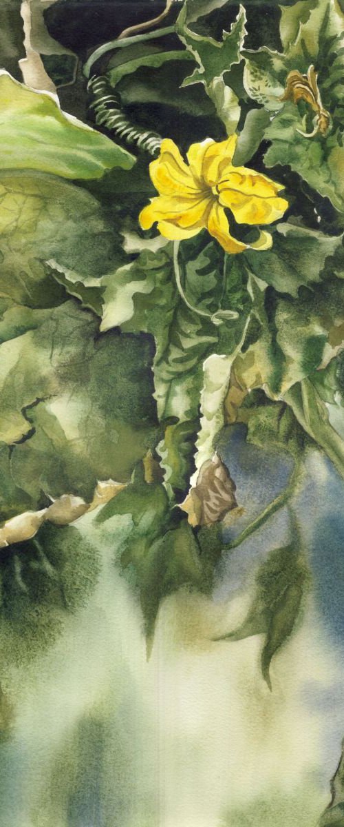 little squash blossom by Alfred Ng