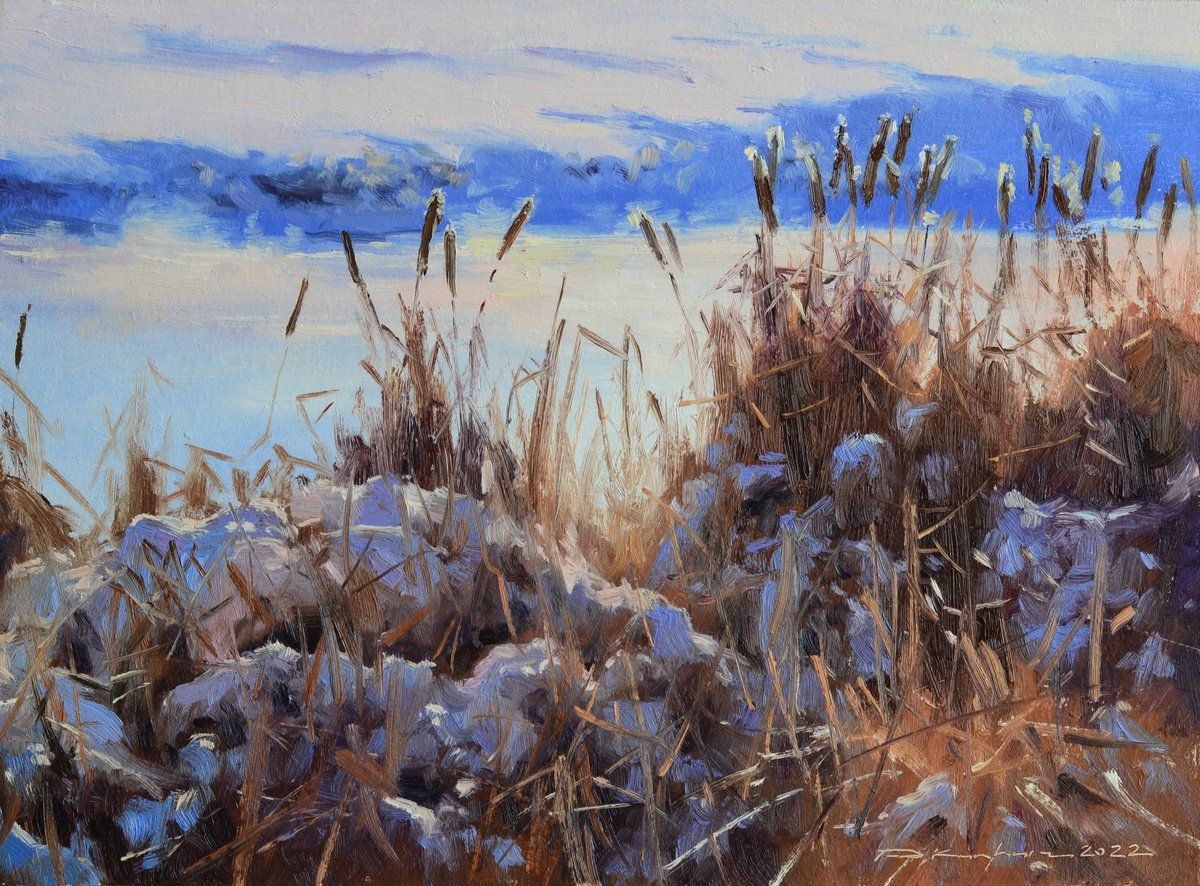 Impressionistic Landscape Oil Painting By Ruslan Kiprych, 12 X 9", Spring Is Coming, Original Artwork