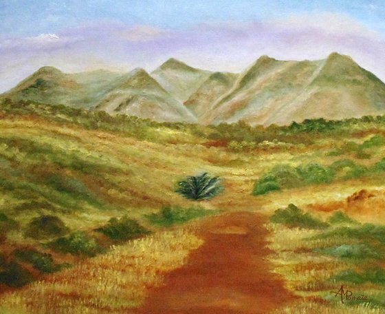 Towards The Desert