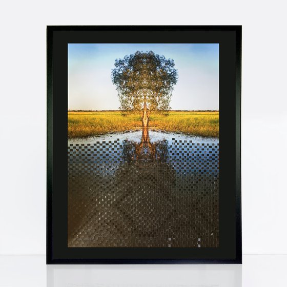 Woven family tree still waters
