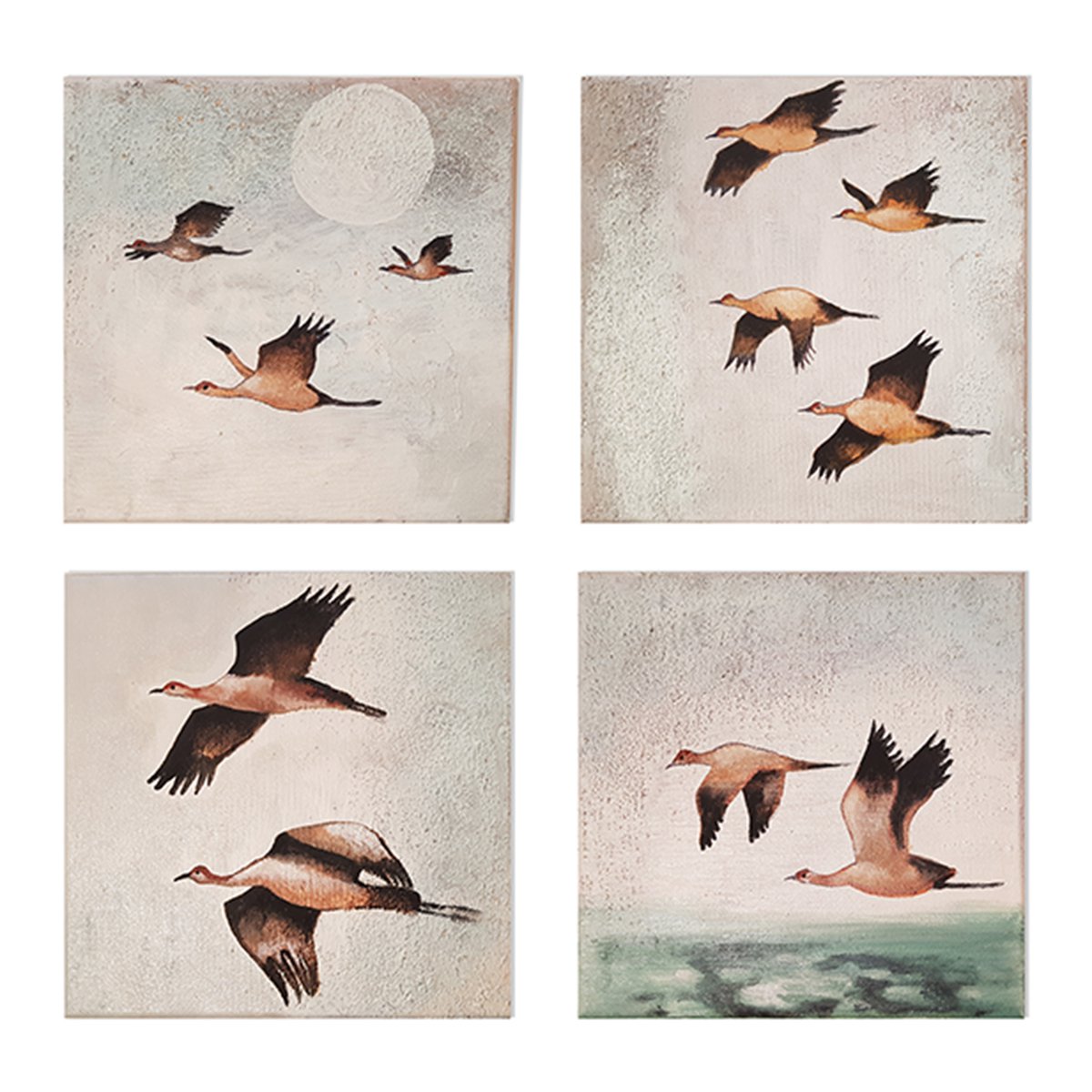 Birds by Amalia Maciuca