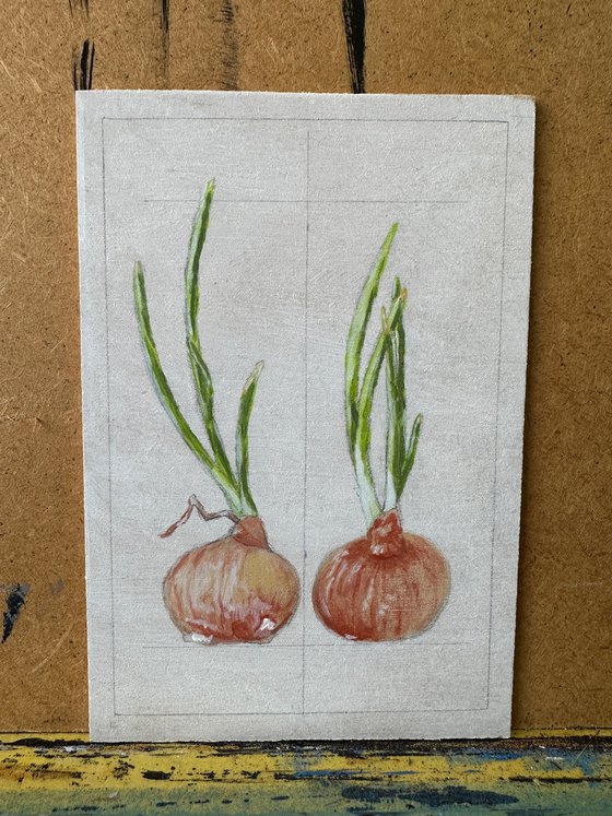 Onions