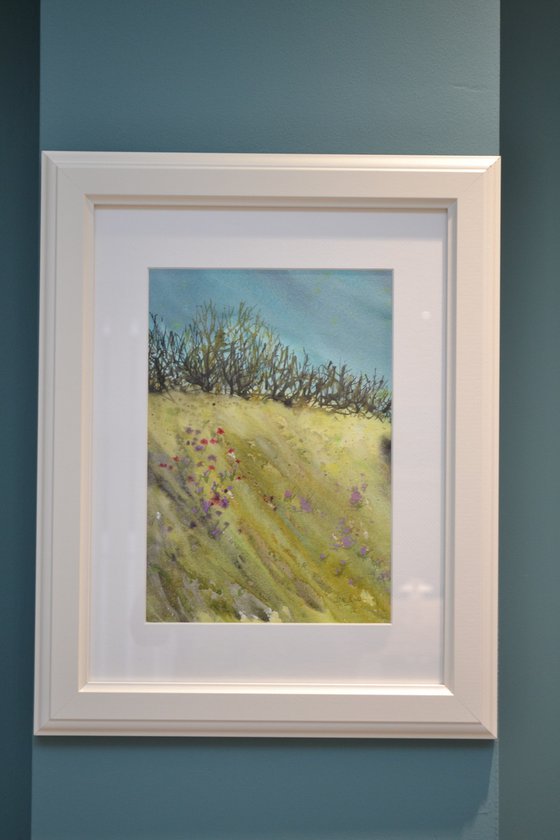 Cornish Hedgerow