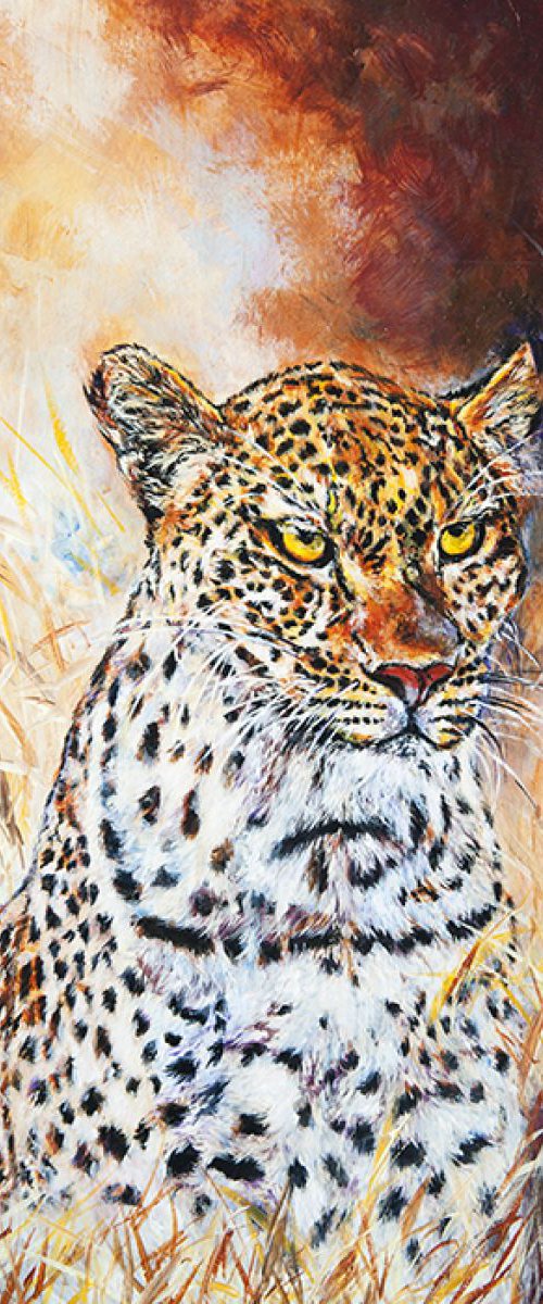 Leopard by Anna Sidi-Yacoub