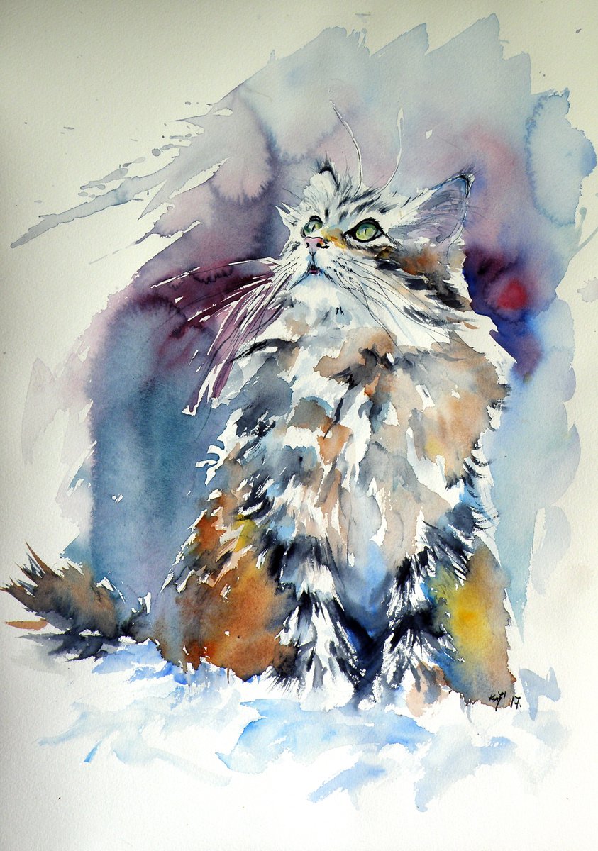 Cat in the snow by Kovacs Anna Brigitta