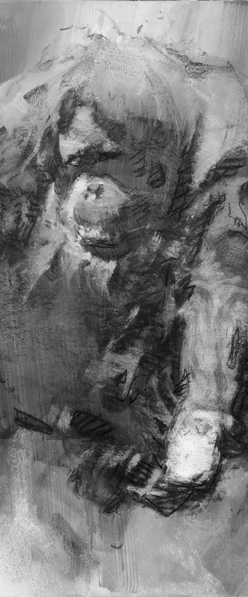 Orangutan portrait by Eugene Segal