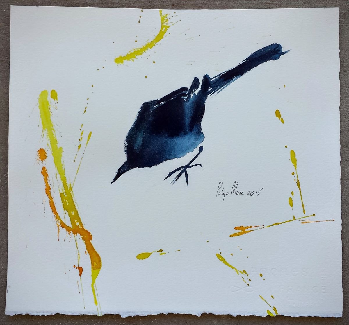 Feathered Shadow by Polina Morgan