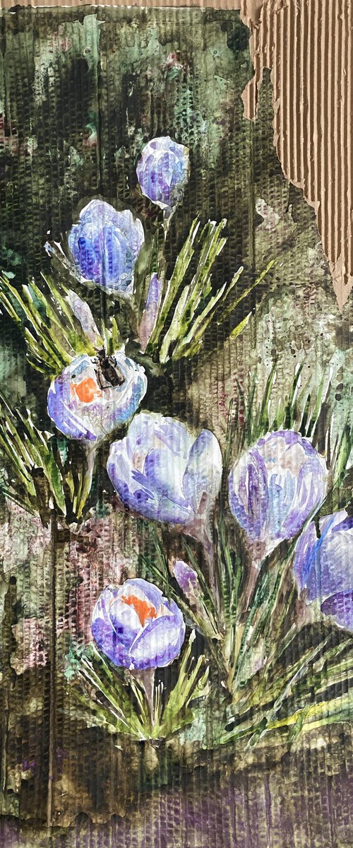 Crocuses - First spring away from home by Valeria Golovenkina