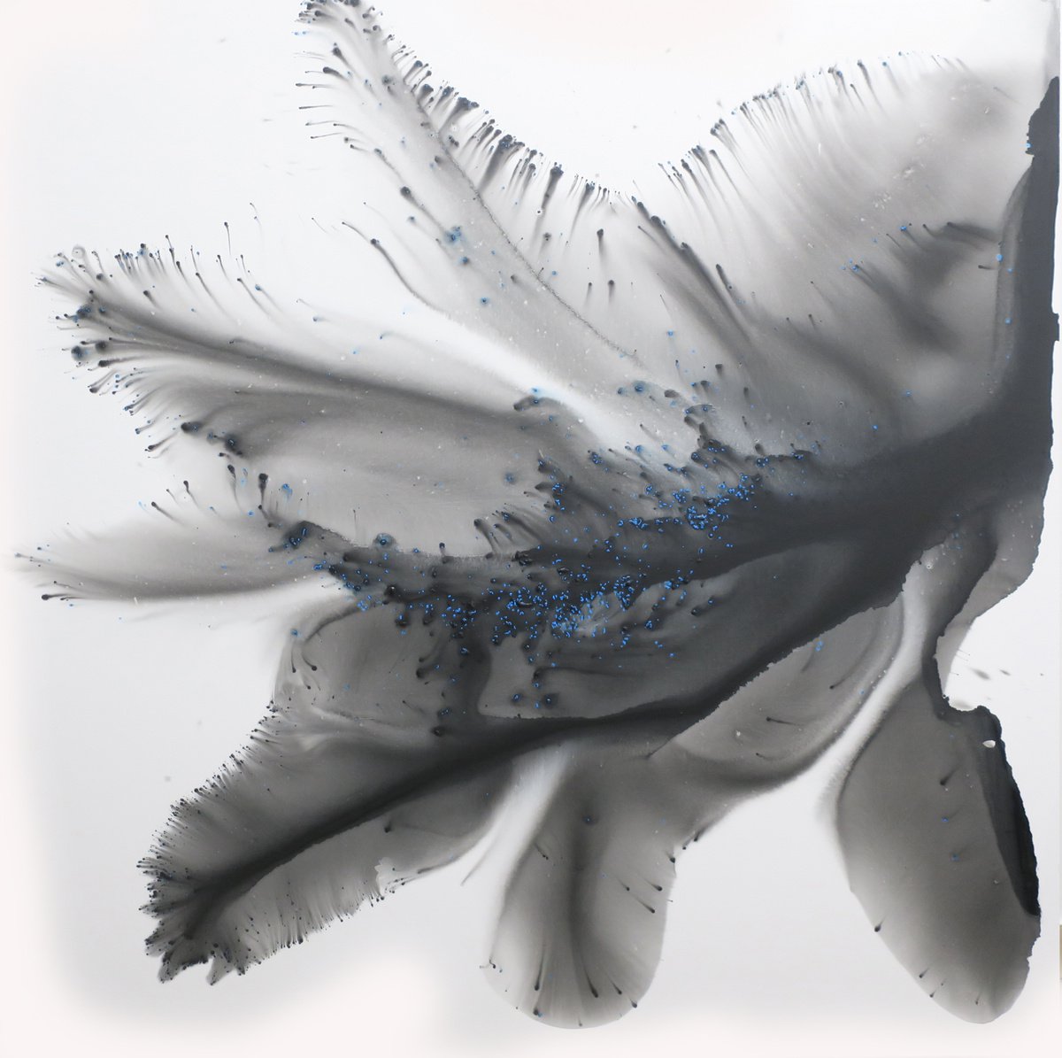 Ume By Muriel Napoli, 47 X 47, Artwork For Sale On Artfinder
