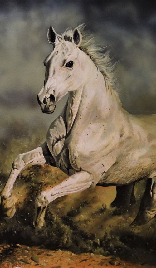 Arabian fury by Julian Wheat