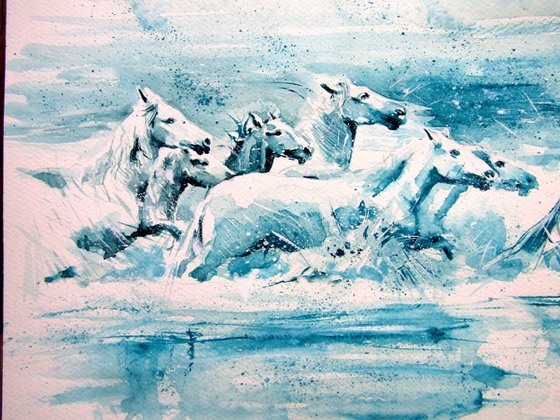 Running horses in the river