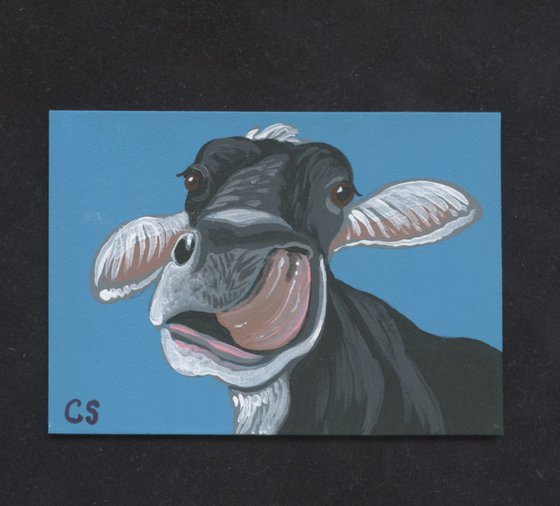 ACEO ATC Original Miniature Painting Black Cow Farmyard Art-Carla Smale