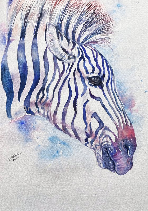 Zebra Blues