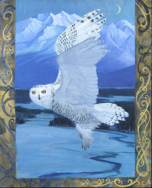 Snowy Owl by D. François Girard