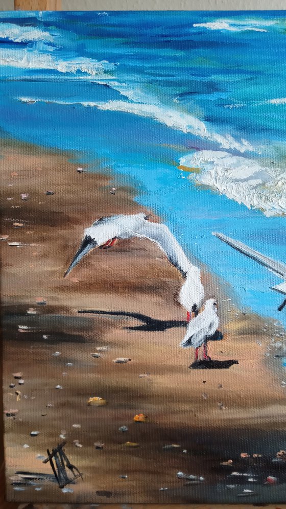 Seagulls at Beach. The Skyand the Sea. Seacost