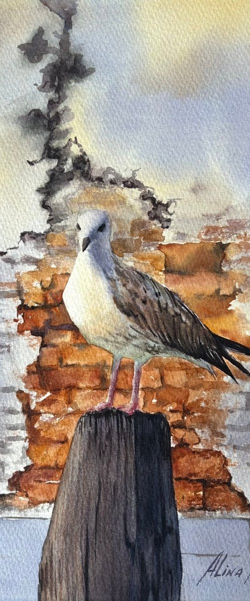 Seagull and old brick wall Venice by Alina Karpova
