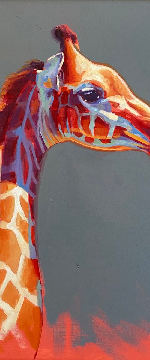 Giraffe in evening sun by Catherine Ingleby