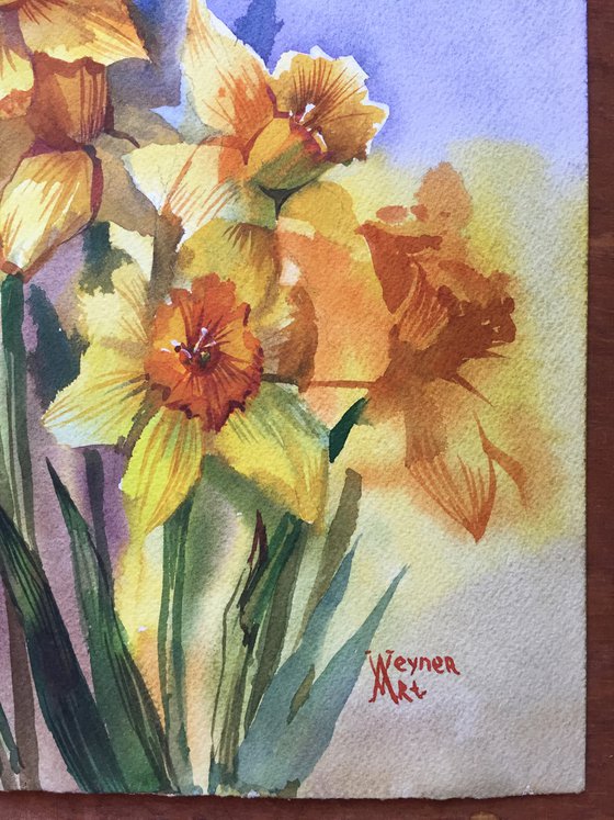 Bouquet of daffodils. Spring flowers. Botanical painting.